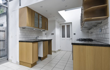 Binsoe kitchen extension leads